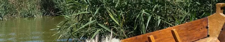 Barca tradicional para paseos en barca por la Albufera de Valencia, rodeada de naturaleza