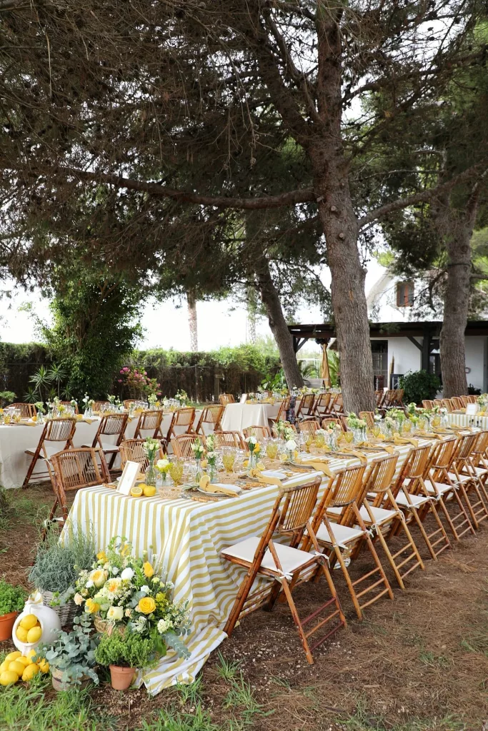 Banquete de boda en Jardin Les Barraques con mesas decoradas bajo los pinos en la Albufera de Valencia.